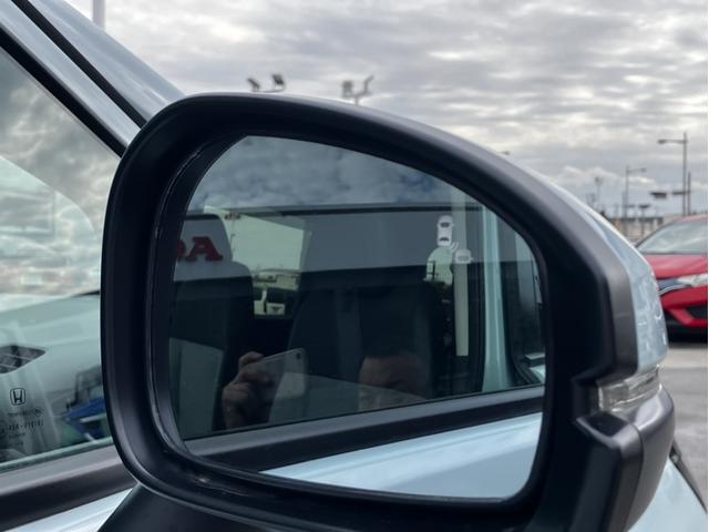 �u���C���h�X�|�b�g�C���t�H���[�V�������΂ߌ��ɑ��݂���N���}�����m�B���̕����̃h�A�~���[���ʏ�Ƀ}�[�N��\�����A���݂����m�点�I�h���C�o�[�ɒ��ӂ𑣂��܂��I