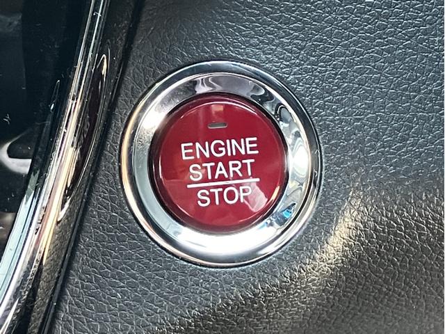 ���[�ԑO�ɓ_�������������܂��B�z���_���K�f�B�[���[�Ƃ��čׂ��������e�i���X�P�A���s���Ă܂��I�ǂ������S���Ă��C���������I