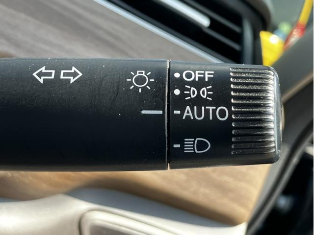 �I�[�g���C�g����