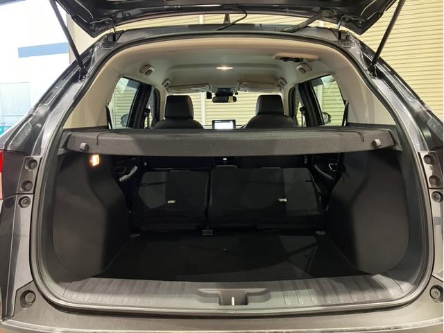 ���A�Ȃ�|���΍L�X�Ƃ�����Ԃ̏o���オ��A�ו�����������ڂ����܂���B