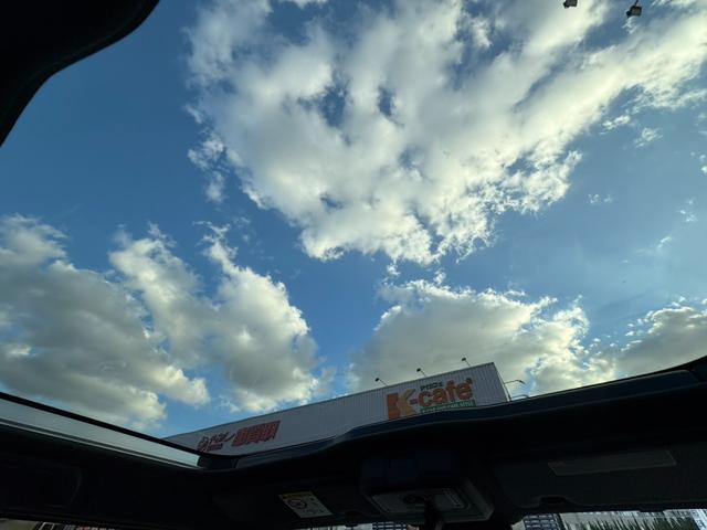 タフト Ｇ　衝突軽減ブレーキ　ブレーキホールド　電子パーキングブレーキ　ガラスルーフ（44枚目）