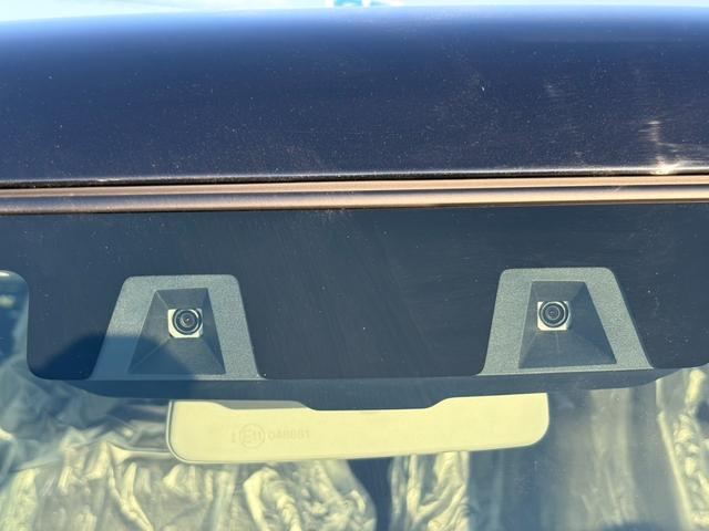 SUZUKI HUSTLER TOUGH WILD