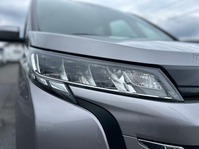 �k�d�c�w�b�h���C�g�Â������������Ƃ炵�Ă���Č����ڂ��I�V�����ł���