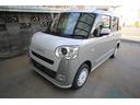 ストライプスＧターボ　新車（11枚目）