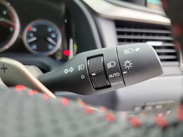 ＲＸ ＲＸ３００　Ｆスポーツ（17枚目）