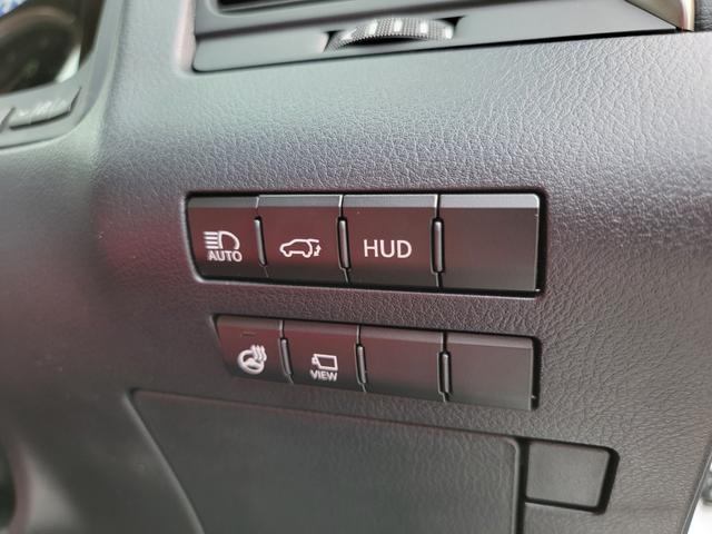 ＲＸ ＲＸ３００　Ｆスポーツ（23枚目）