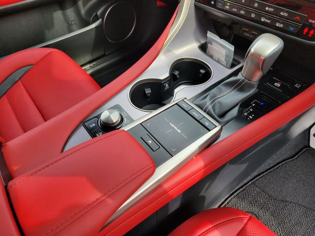 ＲＸ ＲＸ３００　Ｆスポーツ（29枚目）