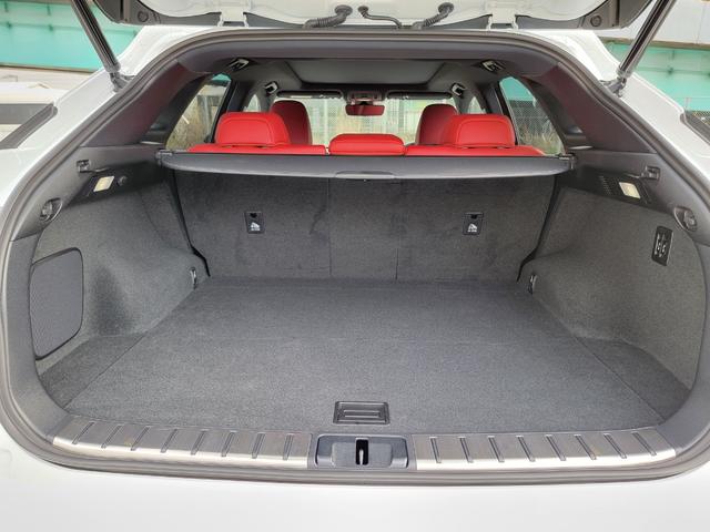 ＲＸ ＲＸ３００　Ｆスポーツ（34枚目）