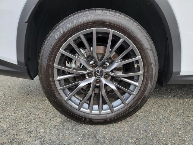 ＲＸ ＲＸ３００　Ｆスポーツ（36枚目）