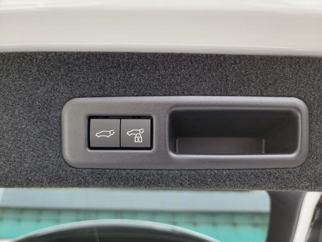 ＲＸ ＲＸ３００　Ｆスポーツ（37枚目）