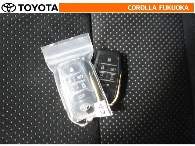 アルファード ２．５Ｓ　タイプゴールド　衝突被害軽減システム　両側電動スライド　メモリーナビ　フルセグ　ＥＴＣ　バックカメラ　後席モニター　ＣＤ　ＤＶＤ再生　キーレス　スマートキー　盗難防止装置（30枚目）