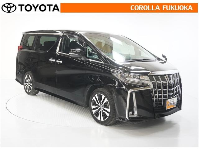 アルファード ２．５Ｓ　Ｃパッケージ　衝突被害軽減システム　両側電動スライド　フルセグ　ＥＴＣ　バックカメラ　後席モニター　ＣＤ　ＤＶＤ再生　キーレス　スマートキー　盗難防止装置（10枚目）