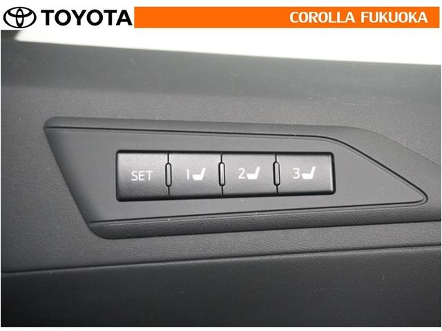 アルファード ２．５Ｓ　Ｃパッケージ　衝突被害軽減システム　両側電動スライド　フルセグ　ＥＴＣ　バックカメラ　後席モニター　ＣＤ　ＤＶＤ再生　キーレス　スマートキー　盗難防止装置（32枚目）