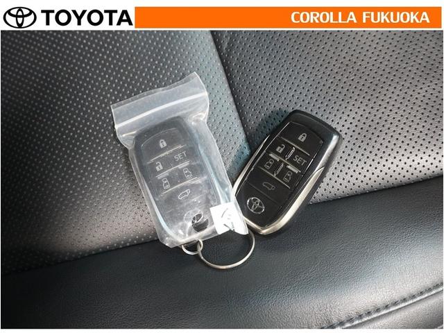 アルファード ２．５Ｓ　Ｃパッケージ　衝突被害軽減システム　両側電動スライド　フルセグ　ＥＴＣ　バックカメラ　後席モニター　ＣＤ　ＤＶＤ再生　キーレス　スマートキー　盗難防止装置（36枚目）