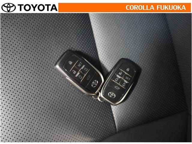 アルファード ２．５Ｓ　Ｃパッケージ　衝突被害軽減システム　両側電動スライド　メモリーナビ　ＥＴＣ　バックカメラ　後席モニター　ＣＤ　ＤＶＤ再生　キーレス　スマートキー　盗難防止装置（36枚目）