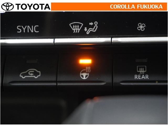 ノア ハイブリッドＳ－Ｚ　衝突被害軽減システム　両側電動スライド　メモリーナビ　フルセグ　ＥＴＣ　バックカメラ　ＣＤ　ＤＶＤ再生　キーレス　スマートキー　盗難防止装置（29枚目）