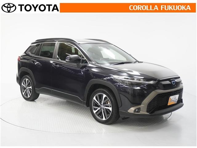 ������������S�I�����̓J���[�������T�[�r�X�F�؍H��ɂ��C�����������B