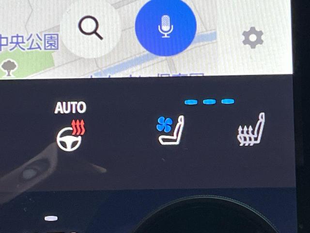 アルファードハイブリッド Ｚ　１４インチナビ　１３．２型有機ＥＬ　トヨタチームメイト　左右独立ムーンルーフ　ＨＵＤ　デジタルインナーミラー　エグゼクティブパワーシート　３眼ＬＥＤヘッドライト　ＢＳＭ　セーフティサポート（38枚目）