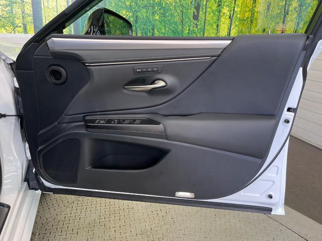 ＥＳ ＥＳ３００ｈ　Ｆスポーツ　純正１２．３インチナビ　サンルーフ　ブラインドスポットモニター　三眼ＬＥＤヘッドライト　バックカメラ　デジタルインナーミラー　合皮シート　セーフティシステムプラス　シートベンチレーション（28枚目）