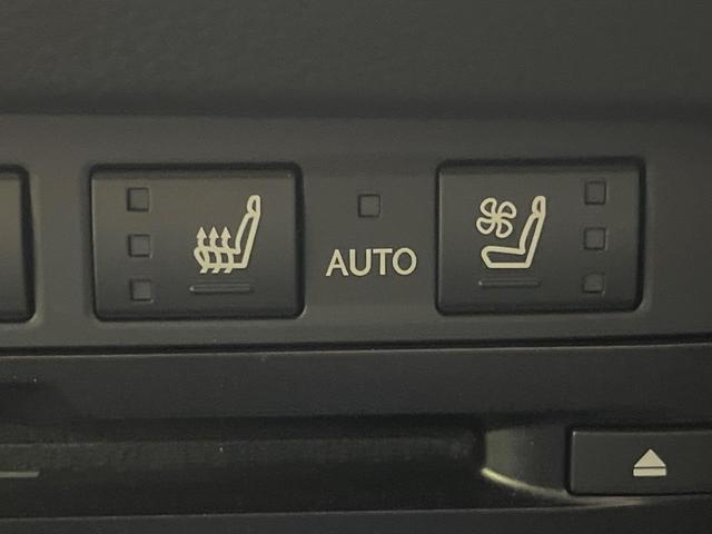 ＥＳ ＥＳ３００ｈ　Ｆスポーツ　純正１２．３インチナビ　サンルーフ　ブラインドスポットモニター　三眼ＬＥＤヘッドライト　バックカメラ　デジタルインナーミラー　合皮シート　セーフティシステムプラス　シートベンチレーション（61枚目）