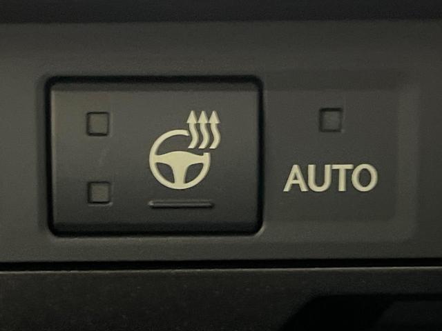 ＥＳ ＥＳ３００ｈ　Ｆスポーツ　純正１２．３インチナビ　サンルーフ　ブラインドスポットモニター　三眼ＬＥＤヘッドライト　バックカメラ　デジタルインナーミラー　合皮シート　セーフティシステムプラス　シートベンチレーション（64枚目）