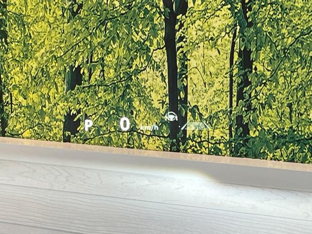 ヴェルファイアハイブリッド Ｚ　プレミア　１４インチナビ　ユニバーサルステップ　１３．２インチ有機ＥＬフリップダウンモニター　左右独立ムーンルーフ　エグゼクティブパワーシート　デジタルインナーミラー　トヨタチームメイト　ＢＳＭ　ＨＵＤ（30枚目）