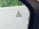 Ｇ　レザーエディション　コネクトナビ　ＢＯＳＥサウンド　アラウンドビューモニター　プロパイロット　インテリジェントルームミラー　ＢＳＭ　電動パーキングブレーキ　革シート　ＬＥＤヘッドライト　オートハイビーム（28枚目）
