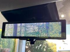 �ڥ���ƥꥸ����ȥ롼��ߥ顼�۸��ʤ��礭�ʲ�ʪ��Ʊ��ԤǸ�������ǧ���Ť餤���Ǥ�¿�������餬���Ƥ�����ξ�����α�����롼��ߥ顼���ɽ�������ꥢ�ʻ볦�Ǿ����γ�ǧ����ǽ�Ǥ��� 6