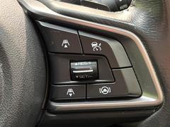 ������®�ɽ���ǽ�ե��롼������ȥ�����۹�®ƻϩ�Ǥ�Ĺ��Υ���Ԥ��ڤˡ�����ư��®�٤��ݤĥ��롼������ȥ����뤬�����ͷڸ������ƥ��Ϣ�Ȥ��������μ�ξ���Τ��Ƽִ֤��ݤĤ褦��®��Ĵ�ᤷ�Ƥ���ޤ����� 6