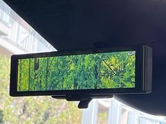 �ڥ���ƥꥸ����ȥ롼��ߥ顼�۸��ʤ��礭�ʲ�ʪ��Ʊ��ԤǸ�������ǧ���Ť餤���Ǥ�¿�������餬���Ƥ�����ξ�����α�����롼��ߥ顼���ɽ�������ꥢ�ʻ볦�Ǿ����γ�ǧ����ǽ�Ǥ��� 6