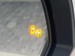 �ڥǥ����륤��ʡ��ߥ顼�۸��ʤ��礭�ʲ�ʪ��Ʊ��ԤǸ�������ǧ���Ť餤���Ǥ�¿�������餬���Ƥ�����ξ�����α�����롼��ߥ顼���ɽ�������ꥢ�ʻ볦�Ǿ����γ�ǧ����ǽ�Ǥ��� 7