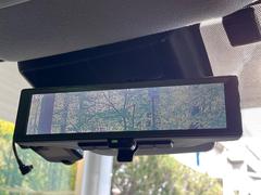 �ڥ���ƥꥸ����ȥ롼��ߥ顼�۸��ʤ��礭�ʲ�ʪ��Ʊ��ԤǸ�������ǧ���Ť餤���Ǥ�¿�������餬���Ƥ�����ξ�����α�����롼��ߥ顼���ɽ�������ꥢ�ʻ볦�Ǿ����γ�ǧ����ǽ�Ǥ��� 5