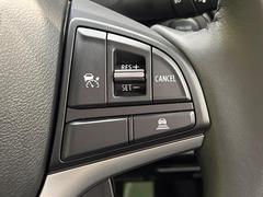 �ڥ����ץƥ��֥��롼������ȥ�����۹�®ƻϩ�Ǥ�Ĺ��Υ���Ԥ��ڤˡ�����ư��®�٤��ݤĥ��롼������ȥ����뤬�����ͷڸ������ƥ��Ϣ�Ȥ��������μ�ξ���Τ��Ƽִ֤��ݤĤ褦��®��Ĵ�ᤷ�Ƥ���ޤ����� 4