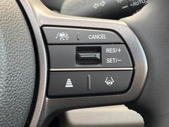 �ڥۥ�����󥷥󥰡�������������μ�ξ����ǧ���������ͤ������ʻ��Ϸ���ȥ֥졼���Ǿ��Ͳ�����ﳲ�ڸ��򥢥����ȡ��������˥ɥ饤�֤򤪳ڤ��ߤ��������ޤ��� 4