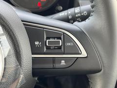 �ڥ����ץƥ��֥��롼������ȥ�����۹�®ƻϩ�Ǥ�Ĺ��Υ���Ԥ��ڤˡ�����ư��®�٤��ݤĥ��롼������ȥ����뤬�����ͷڸ������ƥ��Ϣ�Ȥ��������μ�ξ���Τ��Ƽִ֤��ݤĤ褦��®��Ĵ�ᤷ�Ƥ���ޤ����� 4