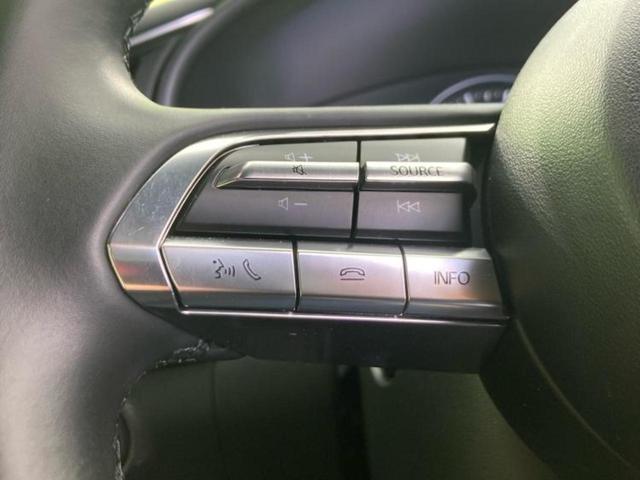 ＭＡＺＤＡ３ファストバック １５Ｓツーリング　保証書／純正　ＳＤナビ／衝突安全装置／車線逸脱防止支援システム／ドライブレコーダー　前後／ヘッドランプ　ＬＥＤ／Ｂｌｕｅｔｏｏｔｈ接続／ＥＴＣ／ＥＢＤ付ＡＢＳ／横滑り防止装置／バックモニター　ドラレコ（28枚目）