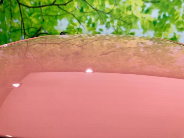 ブーン スタイルSA3 保証書/純正 SDナビ/スマートアシスト(トヨタ・ダイハツ)/車線逸脱防止支援システム/ドライブレコーダー 前後/ヘッドランプ LED/Bluetooth接続/ETC/EBD付ABS DVD再生(46枚目)