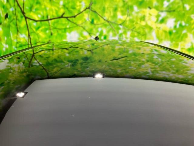 ムーヴ カスタムＸ　ＳＡ２　社外　ＳＤナビ／スマートアシスト（トヨタ・ダイハツ）／車線逸脱防止支援システム／ヘッドランプ　ＬＥＤ／ＥＴＣ／ＥＢＤ付ＡＢＳ／横滑り防止装置／アイドリングストップ／バックモニター／ワンセグＴＶ（48枚目）