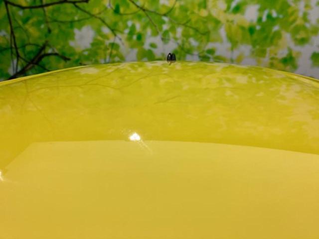 �v�d�b�`�q�r�̍݌Ƀy�[�W�����������������ɂ��肪�Ƃ��������܂��I�v�d�b�`�q�r�́u���q�l���v�����b�g�[�ɂ��q�l�̃J�[���C�t��S�͂ŃT�|�[�g�������܂��I