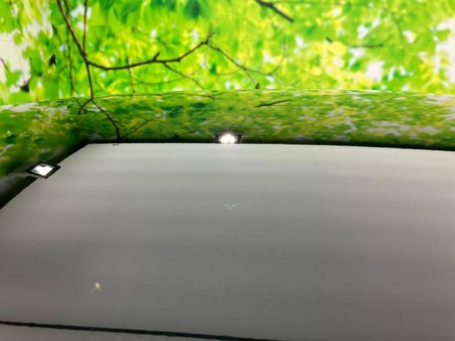 ＣＸ－５ ＸＤスポーツアピアランス　ＢＯＳＥ／保証書／ディスプレイオーディオ／衝突安全装置／シートヒーター／全方位モニター／車線逸脱防止支援システム／シート　フルレザー／電動バックドア／ヘッドランプ　ＬＥＤ／Ｂｌｕｅｔｏｏｔｈ接続（48枚目）