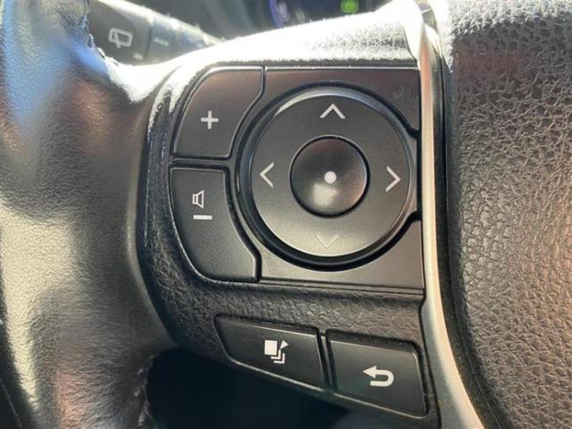 �v�d�b�`�q�r�̓W����ł͎��ۂɌ��āA�G���Ă��Ԃ����I�т��������܂��I�m���̖L�x�ȉc�ƃX�^�b�t���l�X�ȃJ�[���C�t������Ă������܂��I