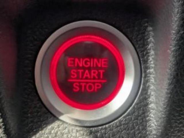 �v�d�b�`�q�r�̓W����ł͎��ۂɌ��āA�G���Ă��Ԃ����I�т��������܂��I�m���̖L�x�ȉc�ƃX�^�b�t���l�X�ȃJ�[���C�t������Ă������܂��I