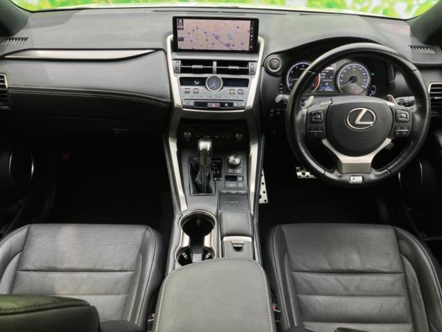 �u���̎Ԃ̎ʐ^�������ƌ������v�u��Ԃ��C�ɂȂ�v�u���̑����͂��Ă���H�v�ǂ�ȏ����ȋ^��ł����C�y�ɂ��₢���킹���������I