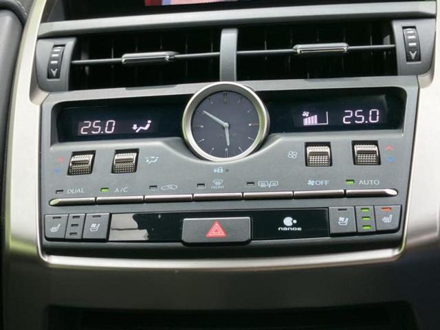 �u���̎Ԃ̎ʐ^�������ƌ������v�u��Ԃ��C�ɂȂ�v�u���̑����͂��Ă���H�v�ǂ�ȏ����ȋ^��ł����C�y�ɂ��₢���킹���������I