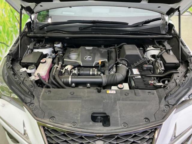 �S���ɓX�܂�W�J���Ă���̂łǂ��ł������񂹂��\�ł��I���̎Ԃ��C�ɂȂ邯�ǉ���������E�E�E�ƒ��߂�K�v�͂���܂���I���ʓr������K�v�ł��B