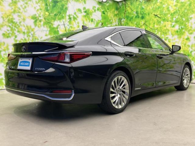 �S���ɓX�܂�W�J���Ă���̂łǂ��ł������񂹂��\�ł��I���̎Ԃ��C�ɂȂ邯�ǉ���������E�E�E�ƒ��߂�K�v�͂���܂���I���ʓr������K�v�ł��B