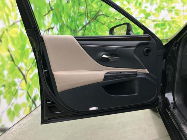 �u���̎Ԃ̎ʐ^�������ƌ������v�u��Ԃ��C�ɂȂ�v�u���̑����͂��Ă���H�v�ǂ�ȏ����ȋ^��ł����C�y�ɂ��₢���킹���������I