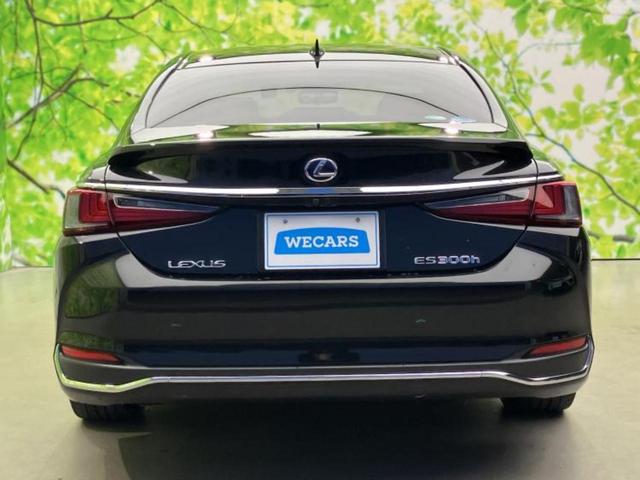 ���Y�Ԃ���A���Ԃ܂ő��l�Ȃ��q�l�̃j�[�Y�̂������ł���悤�ɁA�S���K�͂ŖL�x�ȍ݌ɓW�J�I�Ԃ̂��ƂȂ�v�d�b�`�q�r�ցI