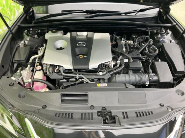 �S���ɓX�܂�W�J���Ă���̂łǂ��ł������񂹂��\�ł��I���̎Ԃ��C�ɂȂ邯�ǉ���������E�E�E�ƒ��߂�K�v�͂���܂���I���ʓr������K�v�ł��B