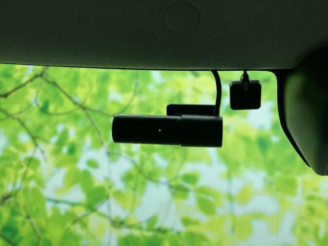 �u���̎Ԃ̎ʐ^�������ƌ������v�u��Ԃ��C�ɂȂ�v�u���̑����͂��Ă���H�v�ǂ�ȏ����ȋ^��ł����C�y�ɂ��₢���킹���������I